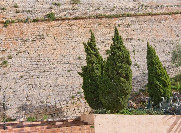 Obraz Detail in Eivissa Old Town