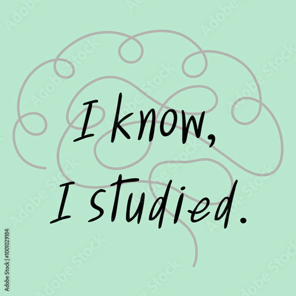 Obraz I know, I studied. 