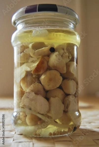 Fototapeta boletus mushrooms in a jar in vinegar marinade