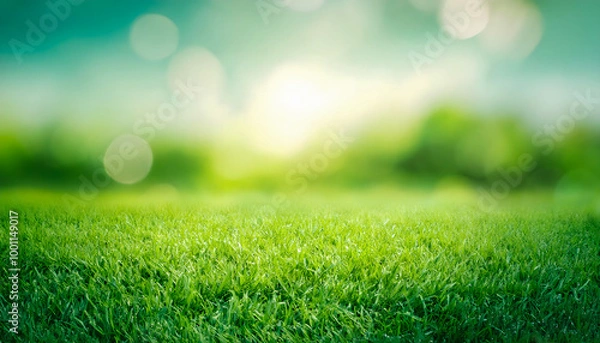 Fototapeta green grass background