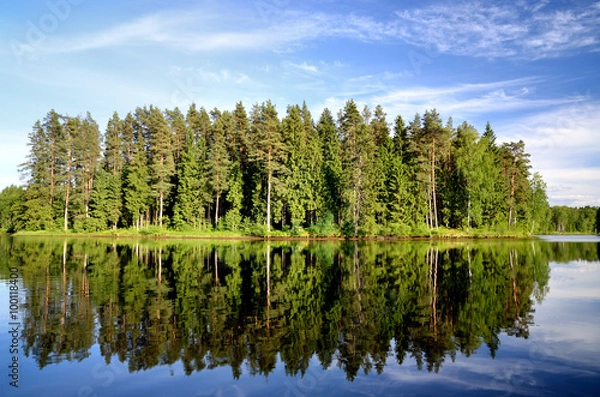 Obraz lake in the forest with reflection