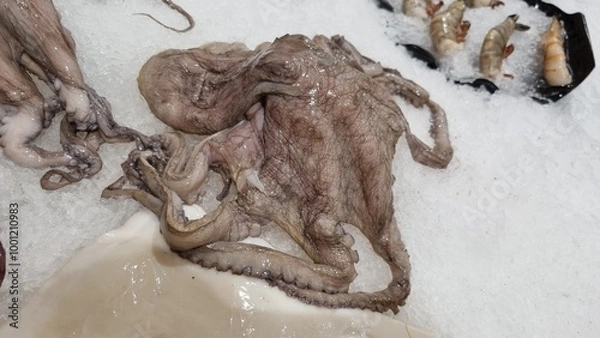 Obraz Large octopus with long tentacles at the center, surrounded by shrimp and fish slices.