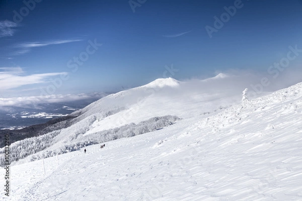 Fototapeta Winter forest