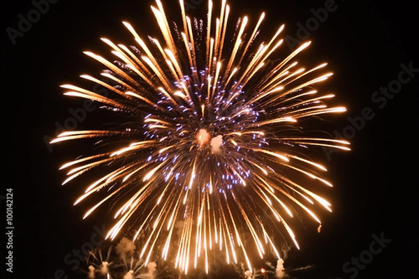 Obraz Beautiful Fireworks, Fireworks light up the sky,New Year celebration fireworks