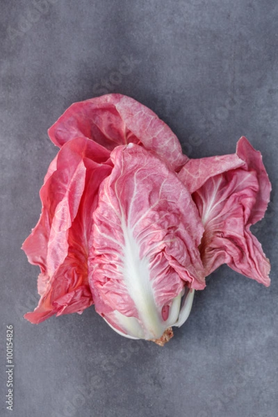 Obraz Różowy Radicchio