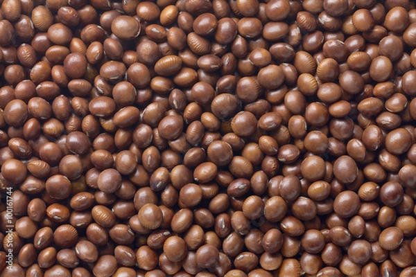 Fototapeta brown soybean
