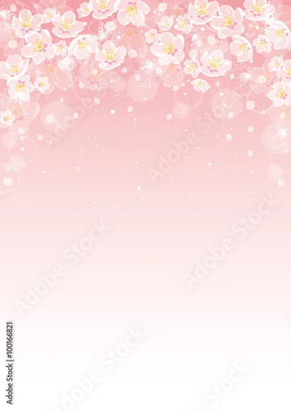 Fototapeta 桜　背景