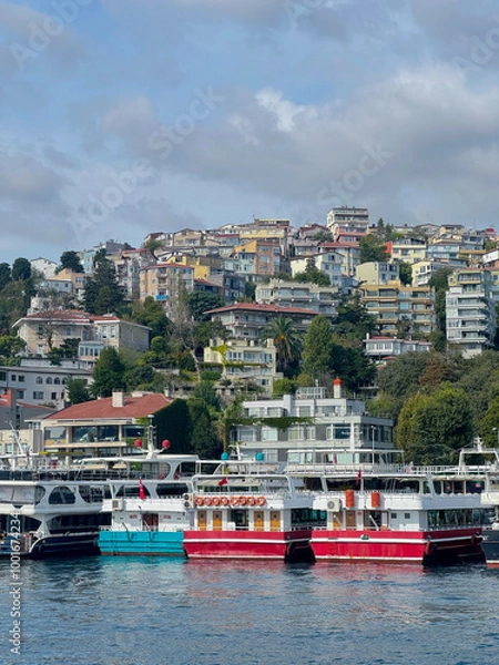 Obraz boats in the Bosphorus