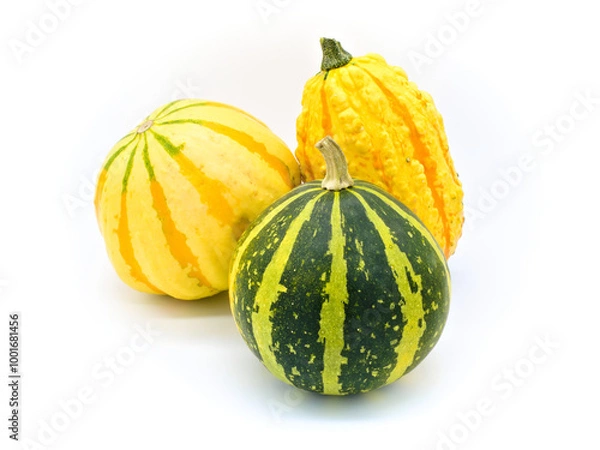Obraz Few tiny pumpkins of different varieties on a white background