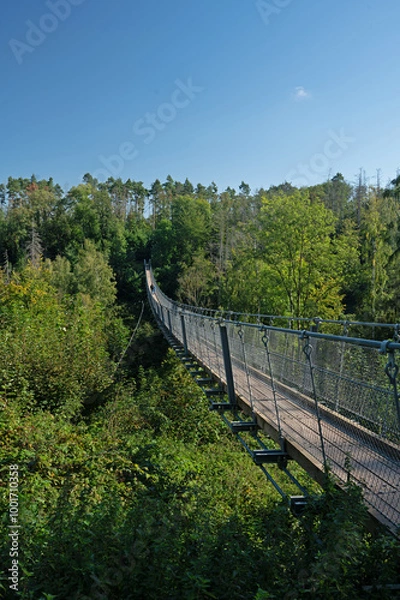 Obraz Hohe Schrecke suspension rope bridge near Braunslage in Thuringia