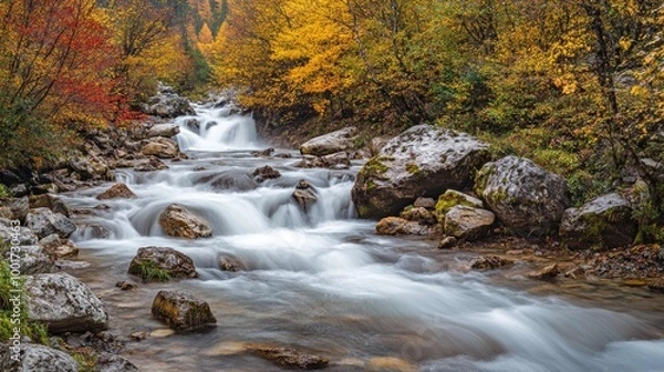 Obraz A small river flowing through a lush forest with rocks and colorful trees in the background.