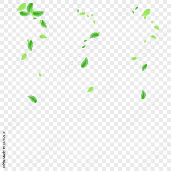 Obraz Light Green Leaves Background Transparent Vector. Vegetation Watercolor Design. Nature Frame. Greenish Light Texture. Sheet Clear.