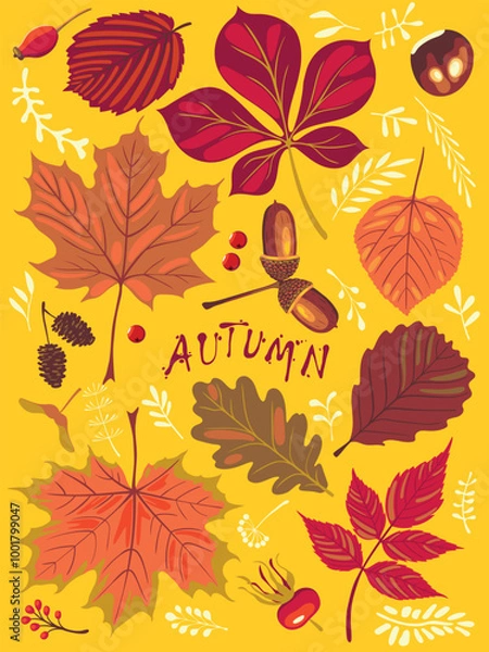 Fototapeta Autumn poster with falling leaves, seeds, acorns, nuts. Fall season elements perfect for scrapbook, card, poster, invitation, sticker kit. Handmade drawing vector realistic illustrations isolated.