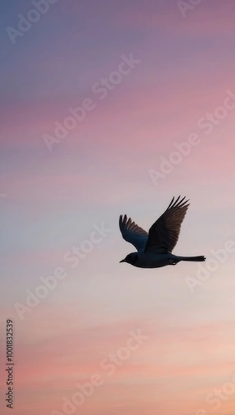Fototapeta Seagull flying at sunset with pink and blue sky gradient