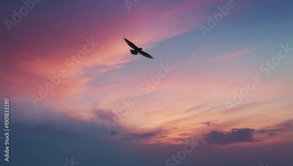 Obraz Bird flying at sunset with pink, orange, and blue clouds