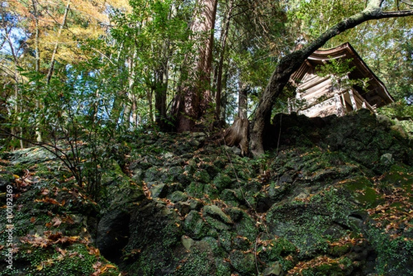Obraz 石山寺　境内