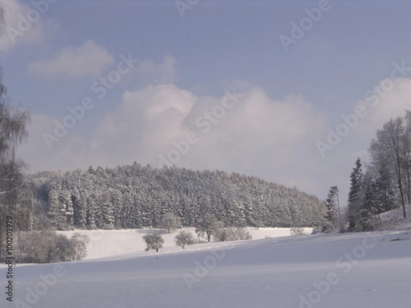 Fototapeta Winterlandschaft