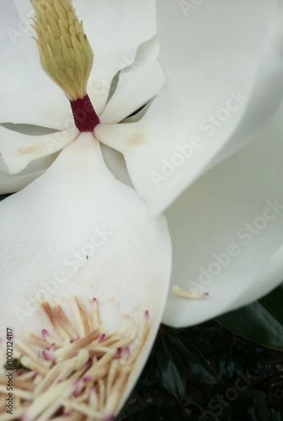 Obraz After The Rain 