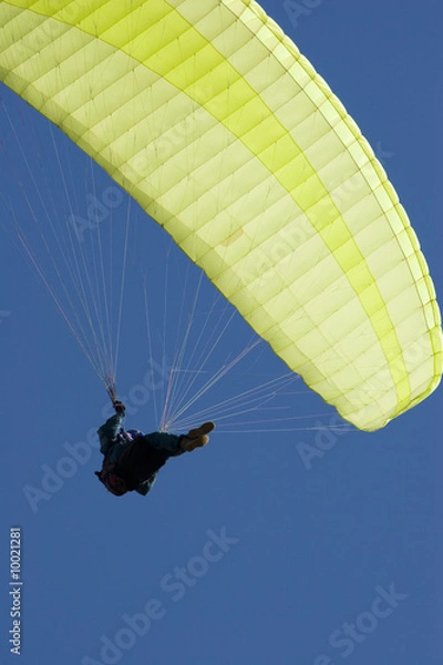 Obraz paraglider