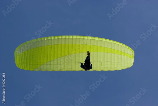 Fototapeta paraglider