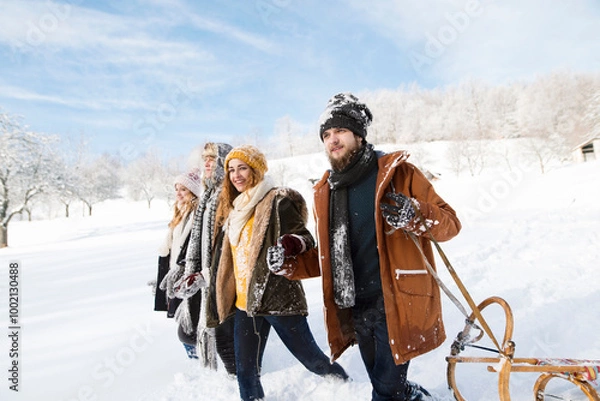 Obraz Group of friends pulling sleds behind them, going to sleddingin in snowy nature. First snowfall of the season.