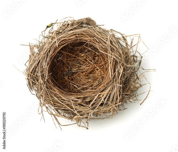 Obraz Widok z góry na puste gniazdo ptaka