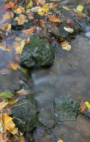 Fototapeta Fall Stream and Rock