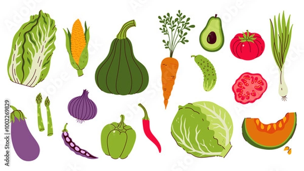 Fototapeta Set of different vegetables isolate on white background. Vector graphics.