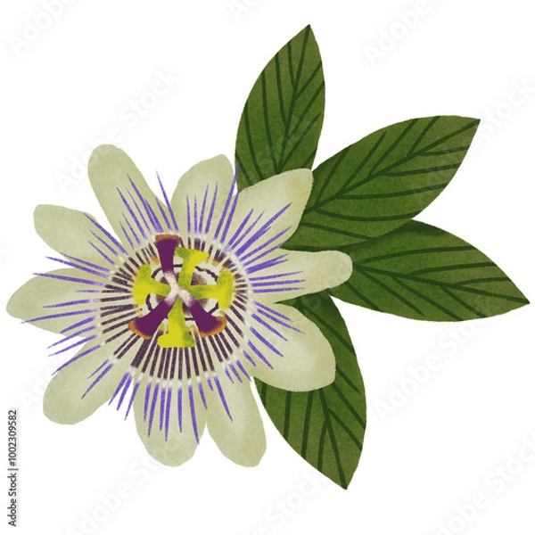 Obraz งานศิลปะที่ไม่มีชื่อ