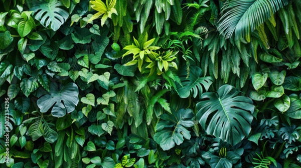 Fototapeta Lush green foliage creates vibrant and refreshing backdrop, showcasing variety of tropical plants and leaves. This image evokes sense of tranquility and connection to nature