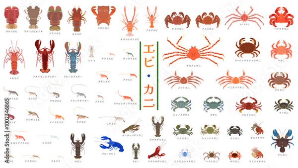 Fototapeta 食用のエビ・カニ・ヤドカリ60種類。フラットなベクターイラストセット。
60 species of edible shrimp, crabs, and hermit crabs. Flat vector illustration set.