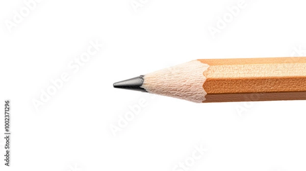 Obraz Pencil isolated on transparent or white background