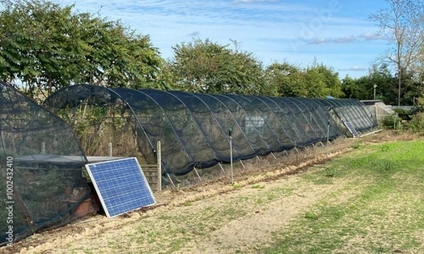 Obraz solar panels in the field