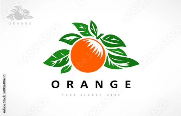 Obraz orange fruit and leaf logo vector