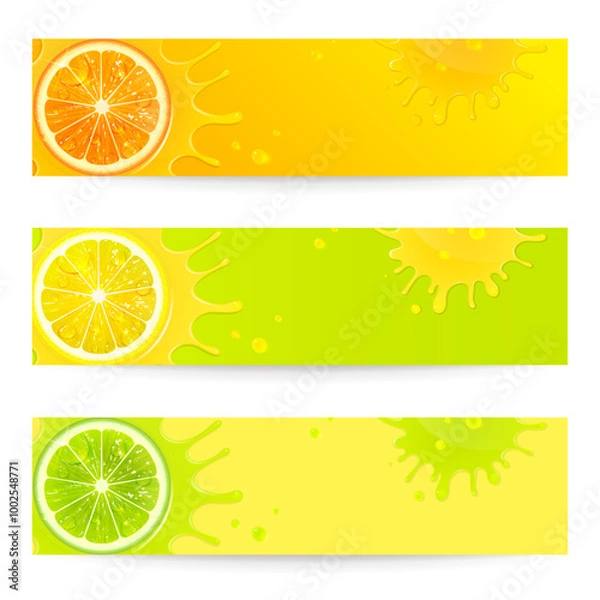 Obraz Set of Bright Banners with Citrus Fruits