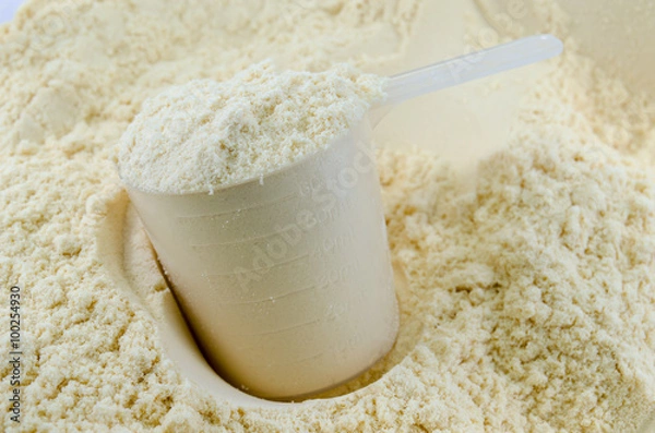 Obraz Whey Protein
