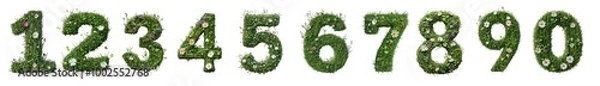 Fototapeta Green grass numbers decorated with flowers, isolated on transparent background, perfect for eco, natural, and environmental design projects
