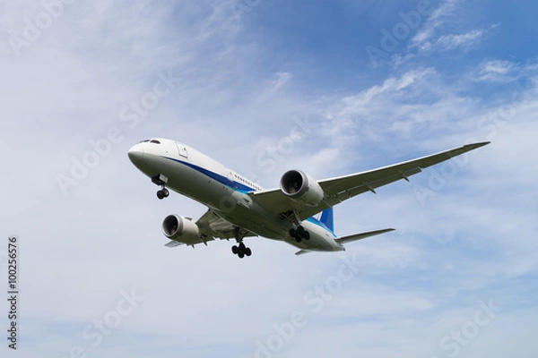 Fototapeta Boeing 787-8