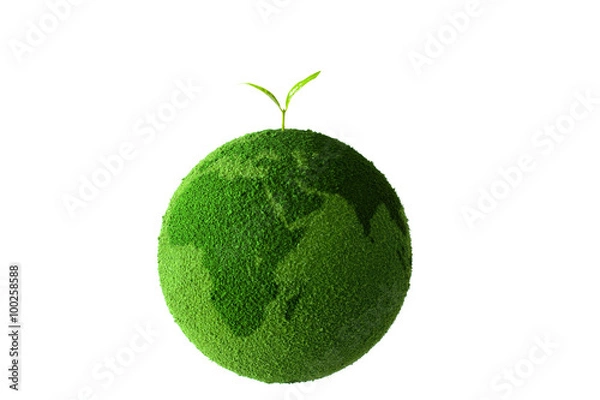 Obraz sprout on the green globe