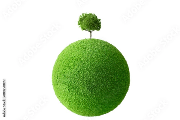 Obraz Tree on the globe