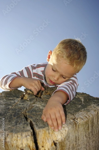 Obraz Was ist denn da?