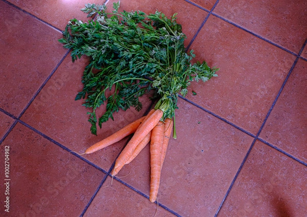 Obraz Carrots on a floor backround