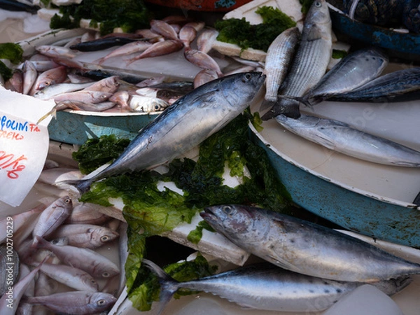 Obraz Fish in open seamarket