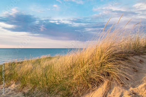 Obraz Beach Background. Sand dune and dune grass with a blue sky and blue water horizon in the background.
