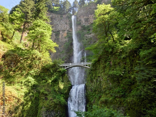 Obraz Multnomah Falls with lush greenery in Oregon countryside