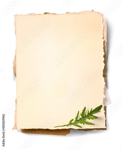 Fototapeta Art Italian home restaurant old recipe background; old paper texture on transparent background