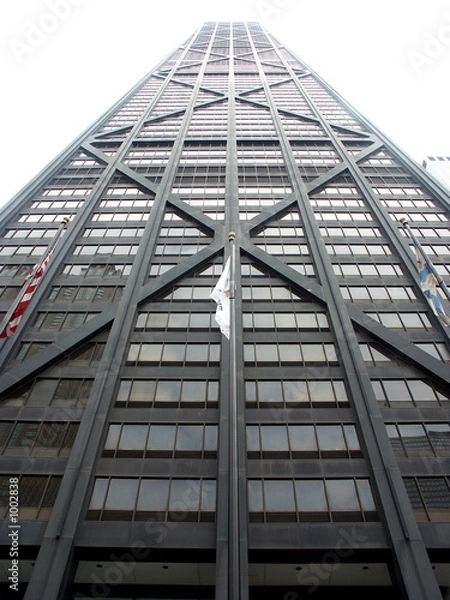 Fototapeta into the sun