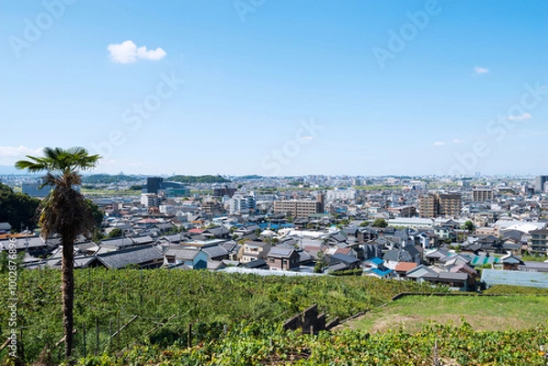 Fototapeta 柏原市の街並み