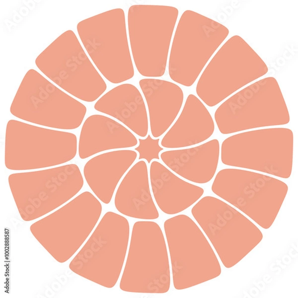 Fototapeta slice of grapefruit
