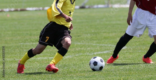 Fototapeta サッカー　フットボール